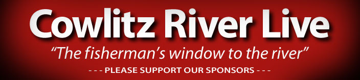 Cowlitz River Live Camera | Web Cam